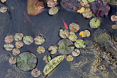 《超时空地牢》公开B测启动 肉鸽回合制战术战略
